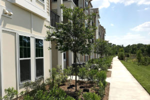 Cherrylake’s landscaping of the complex mimics the architecture as upscale and artfully designed.