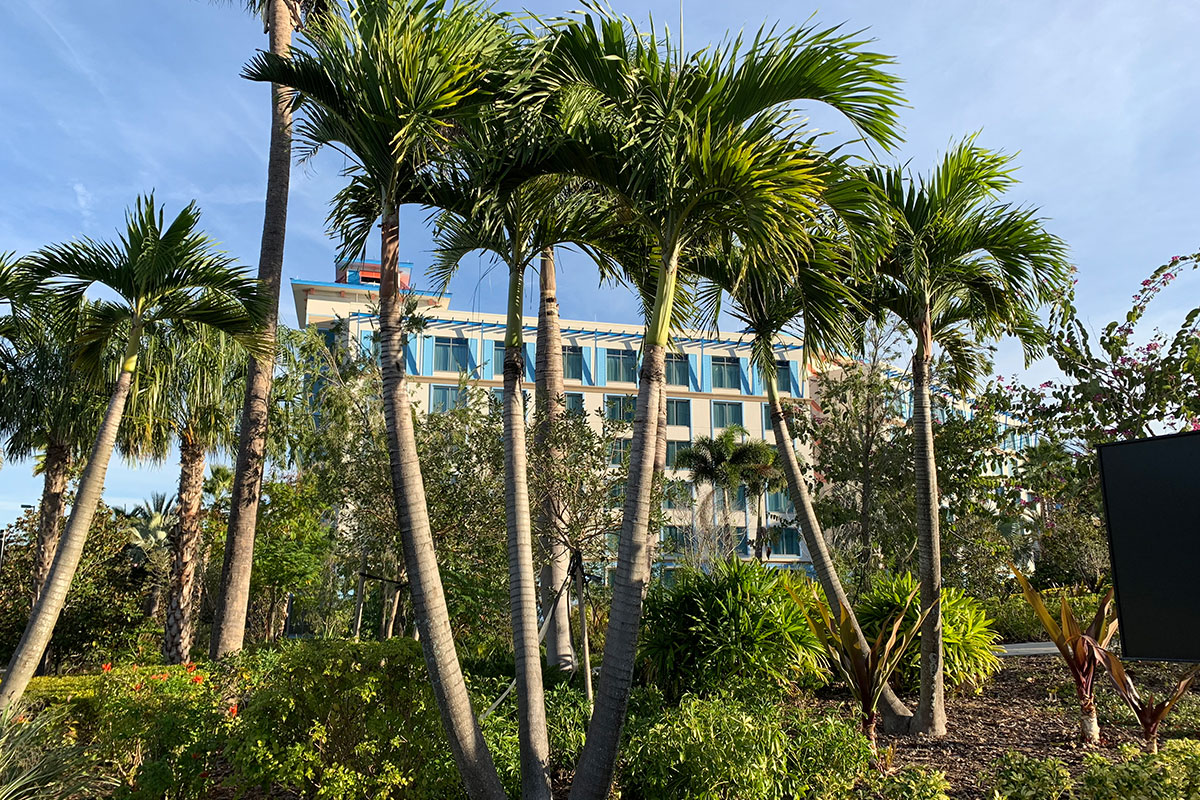 Aventura Hotel is surrounded by lush, tropical scenery.